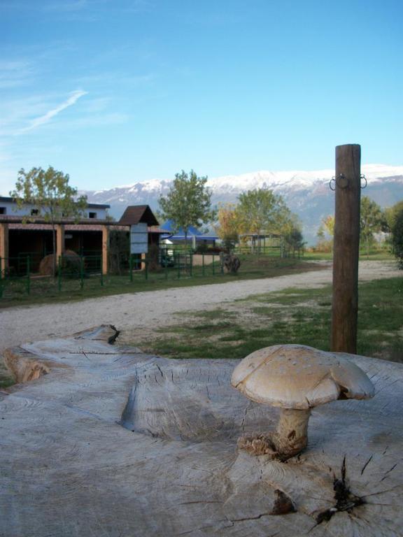 Locanda Dell'Asino D'Oro Villa Сулмона Екстериор снимка