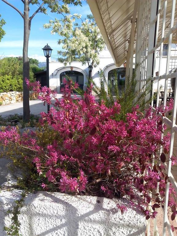 Locanda Dell'Asino D'Oro Villa Сулмона Екстериор снимка