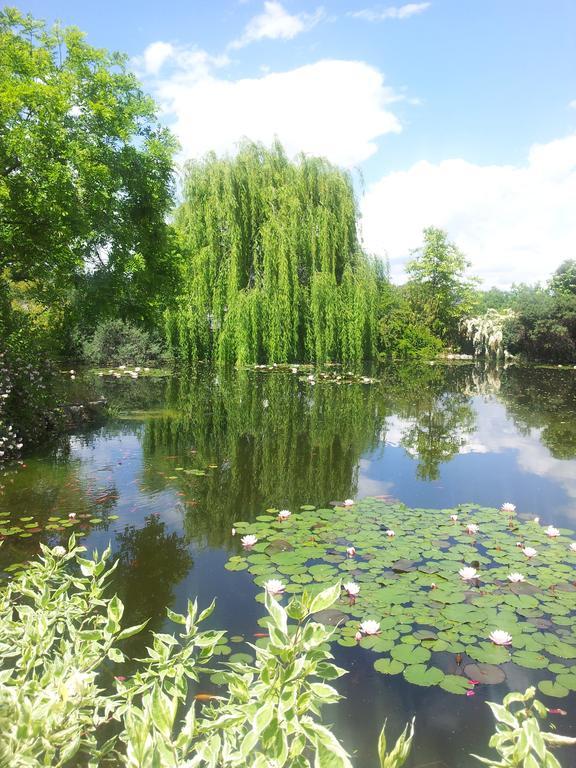 Locanda Dell'Asino D'Oro Villa Сулмона Екстериор снимка